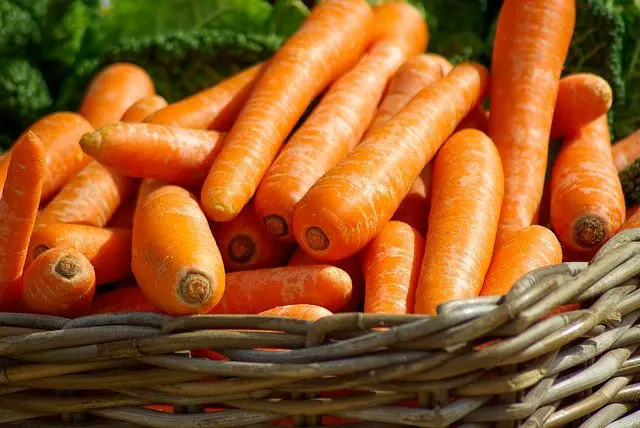 benefits-of-carrots-for-health