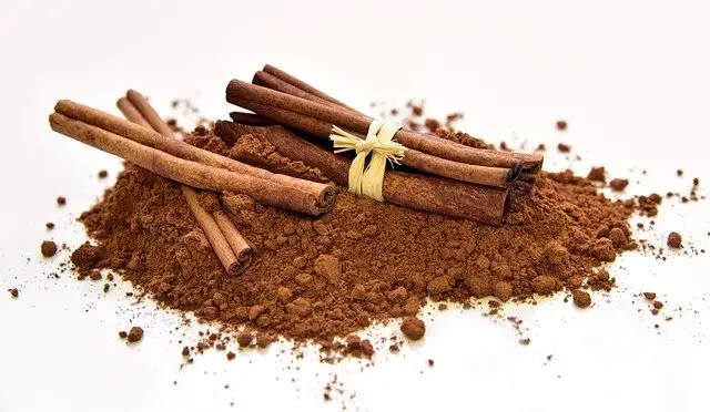 benefits-of-cinnamon