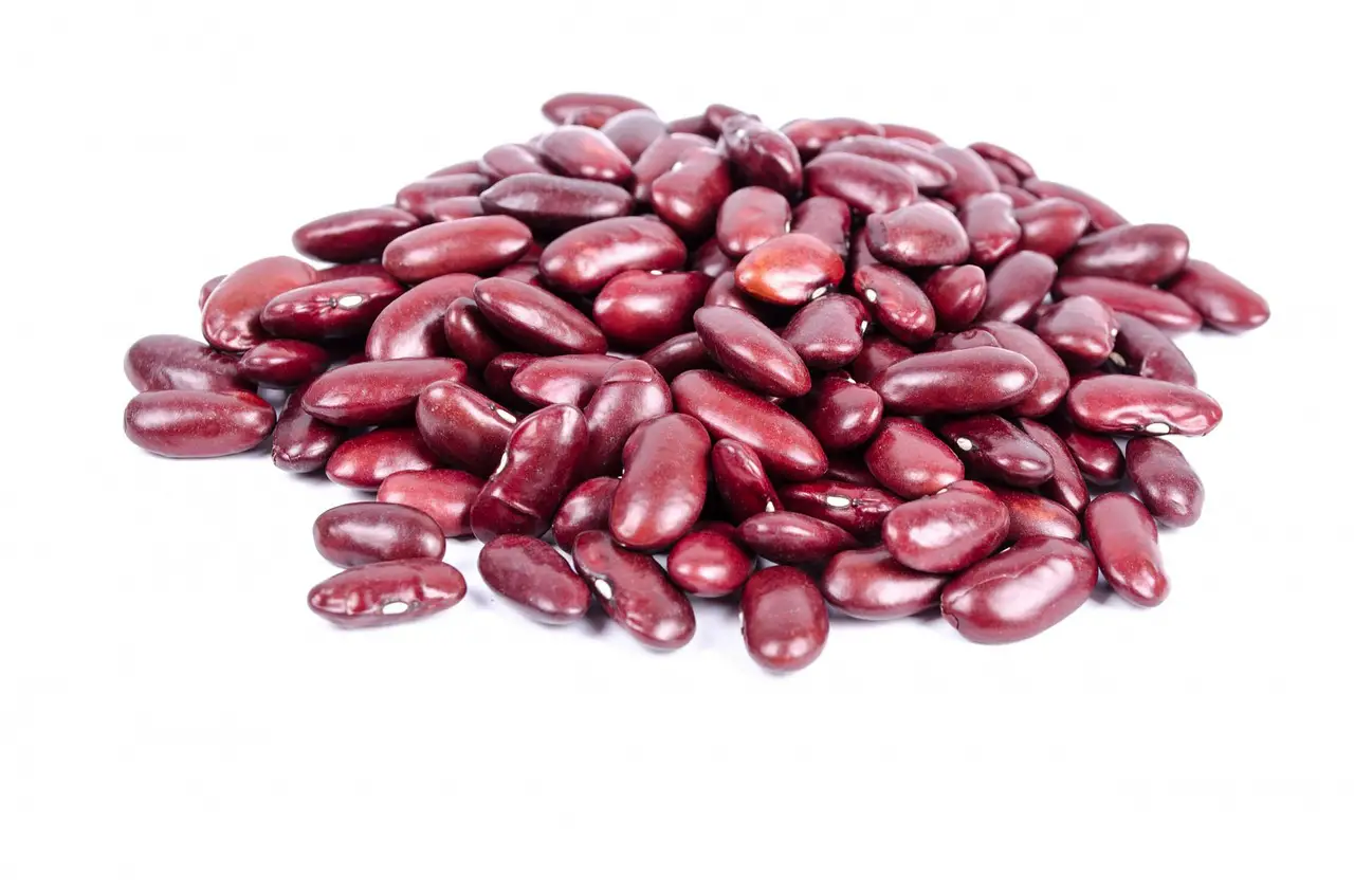 benefits-of-Kidney-beans