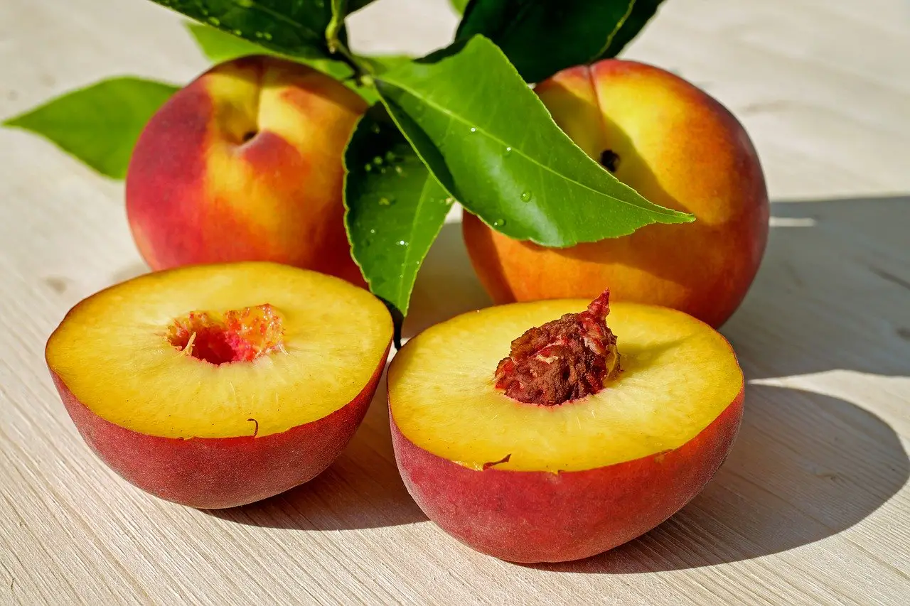benefits-of-peach