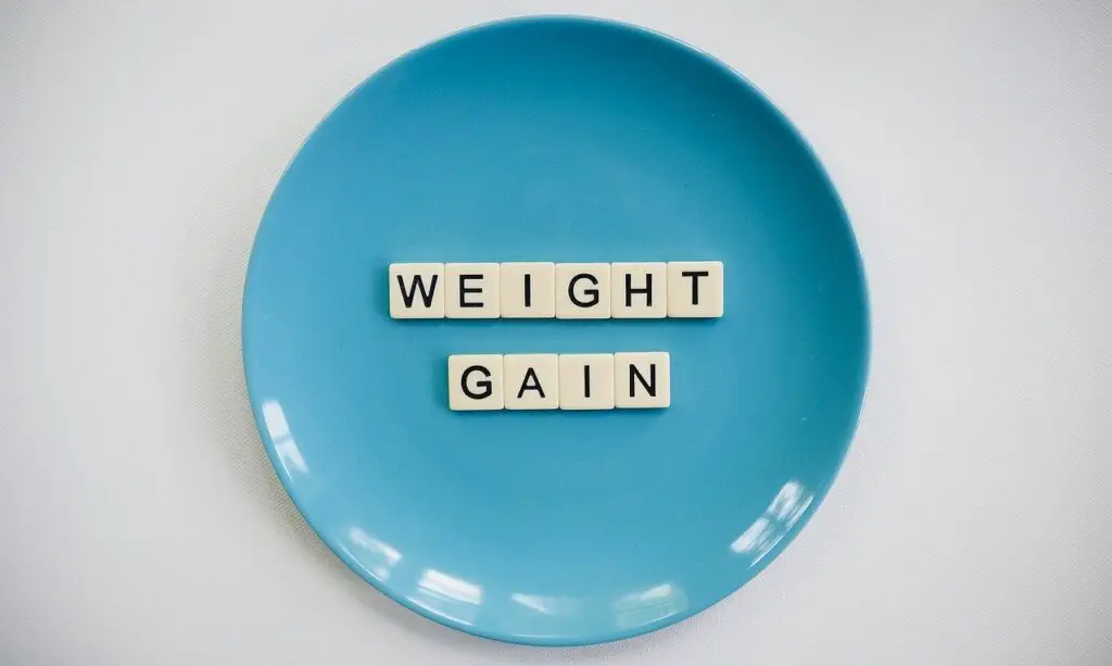 how-to-gain-weight