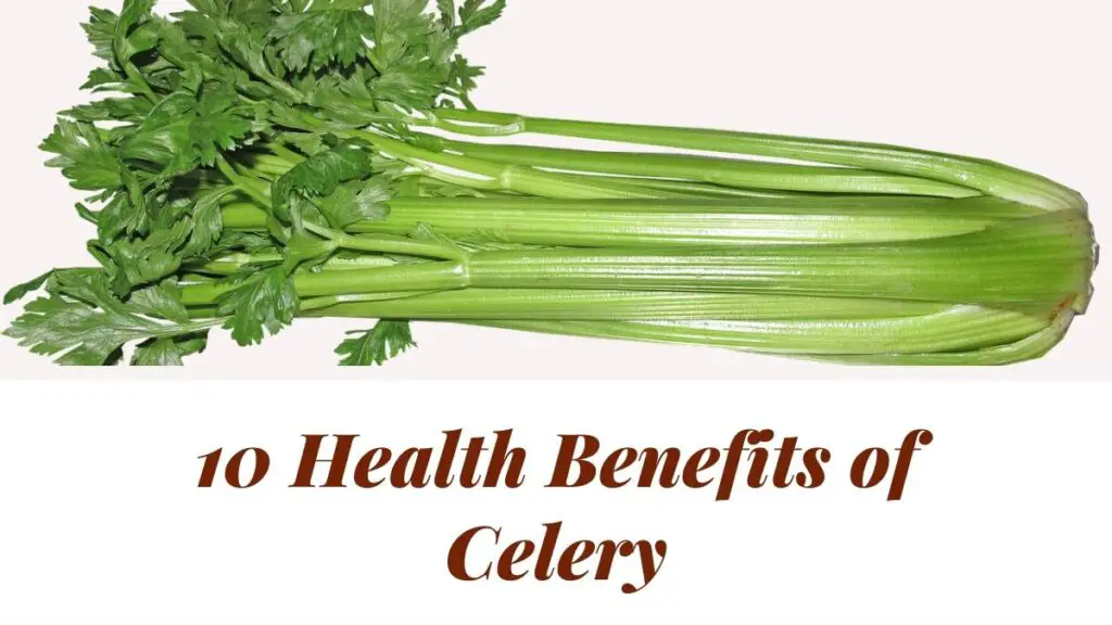 10-health-benefits-of-celery