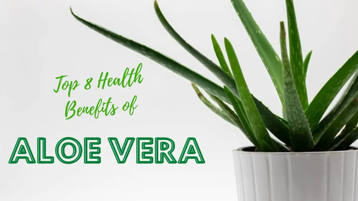 top-8-health-benefits-of-aloe-vera