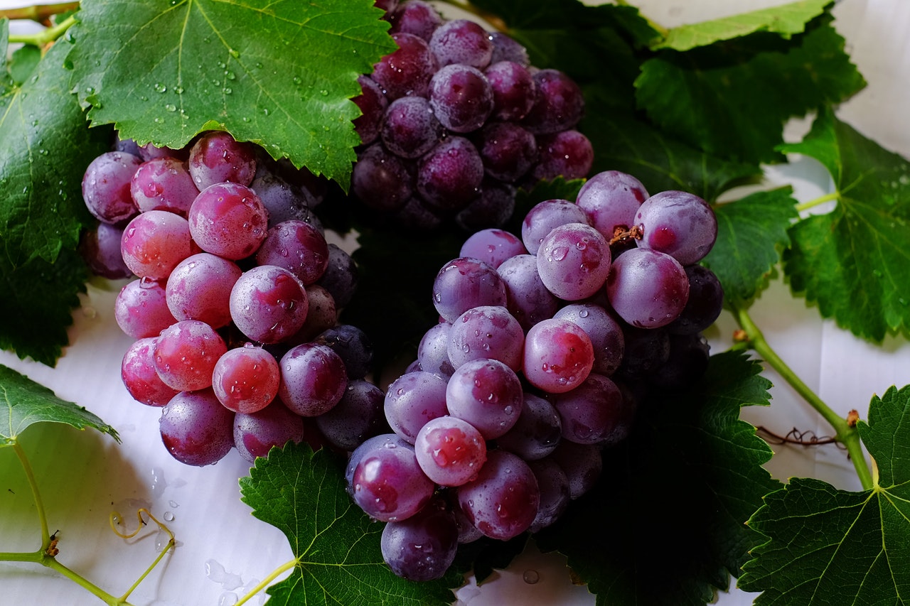 10-benefits-of-grape-seed-extract