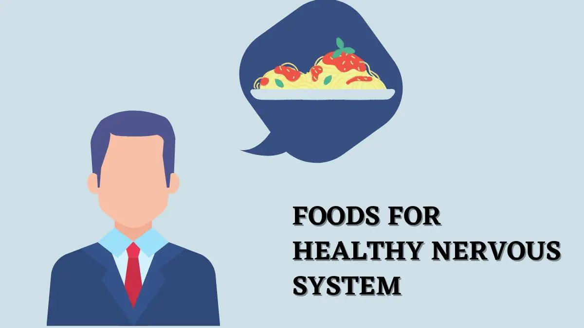 foods-for-healthy-nervous-system