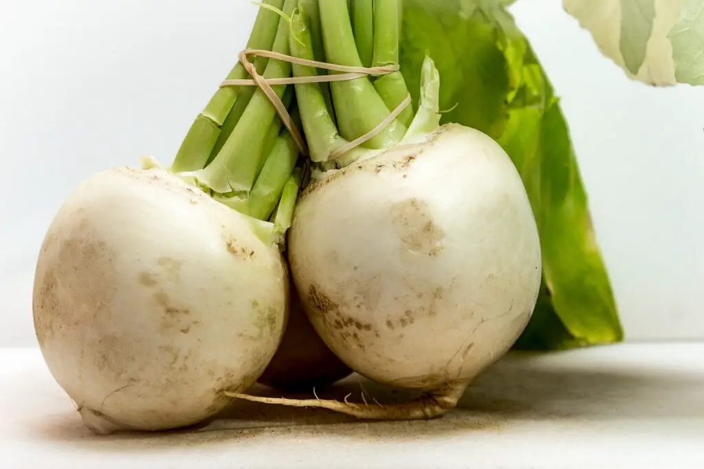 health benefits of turnip