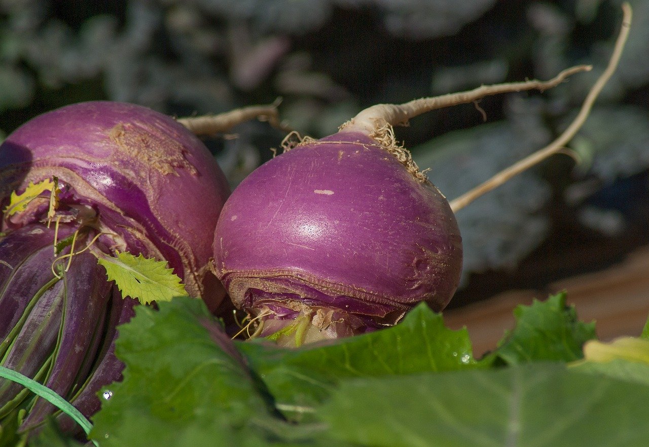 amazing-health-benefits-of-turnip