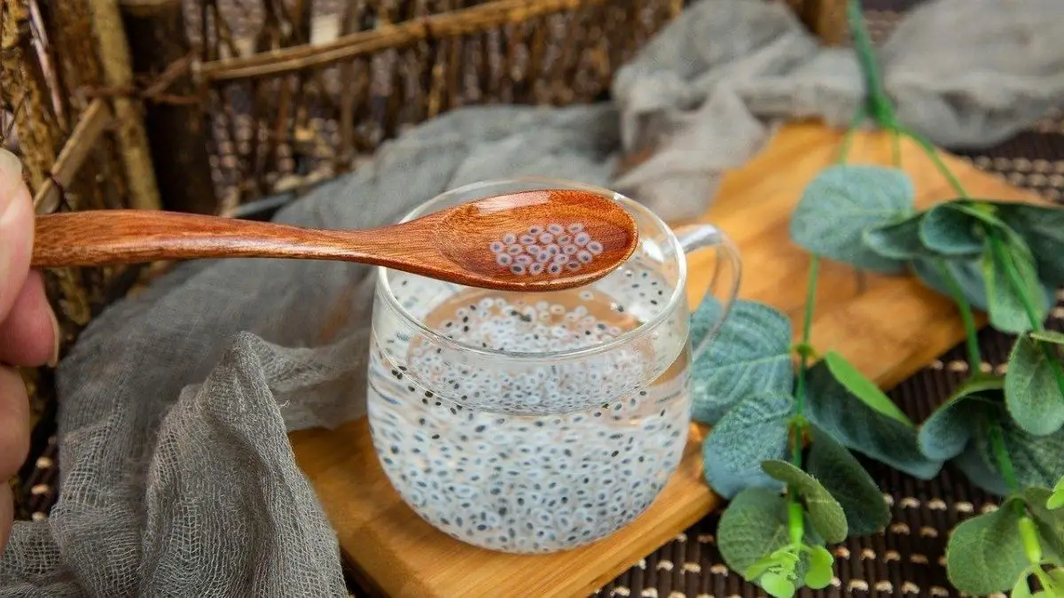 Health-Benefits-of-basil-seeds-(Sabja)