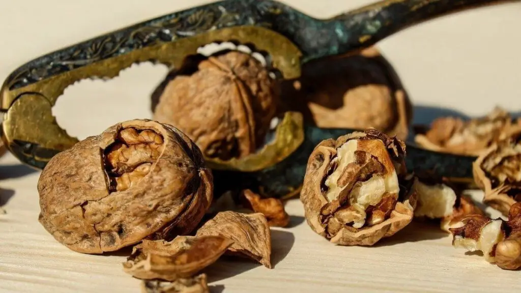 benefits of walnut