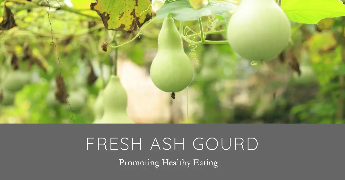 Ash gourd is a good source of vitamins, minerals, and antioxidants, and has a number of health benefits.