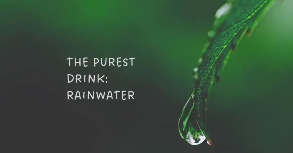 Benefits of Drinking Rain Water