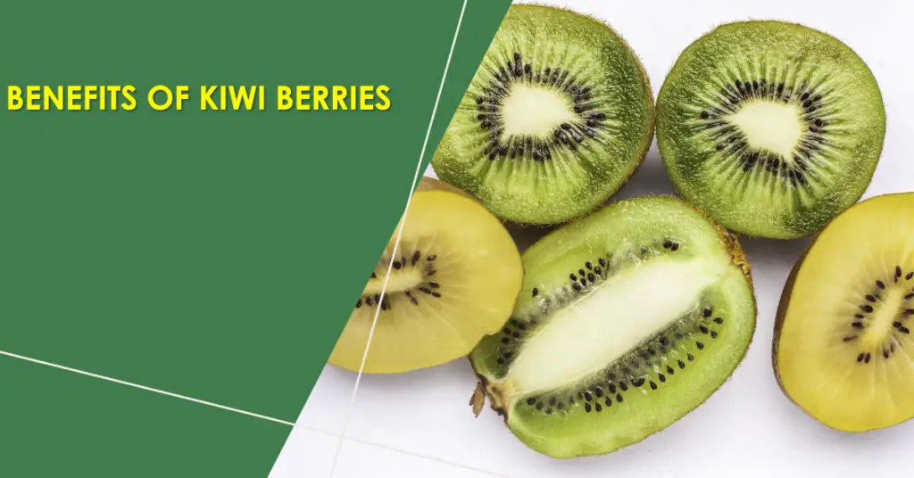 what is a kiwi a berry