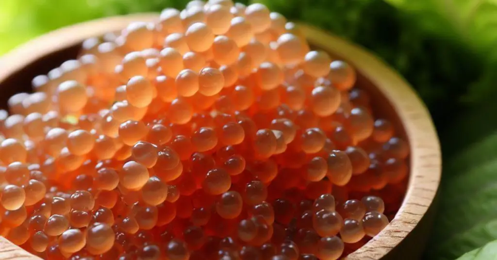 Fish eggs, also known as roe, are a nutritional powerhouse that offer a variety of health benefits. They are high in protein, omega-3 fatty acids, vitamins, and minerals.