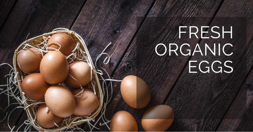 what are the benefits of eating organic eggs?