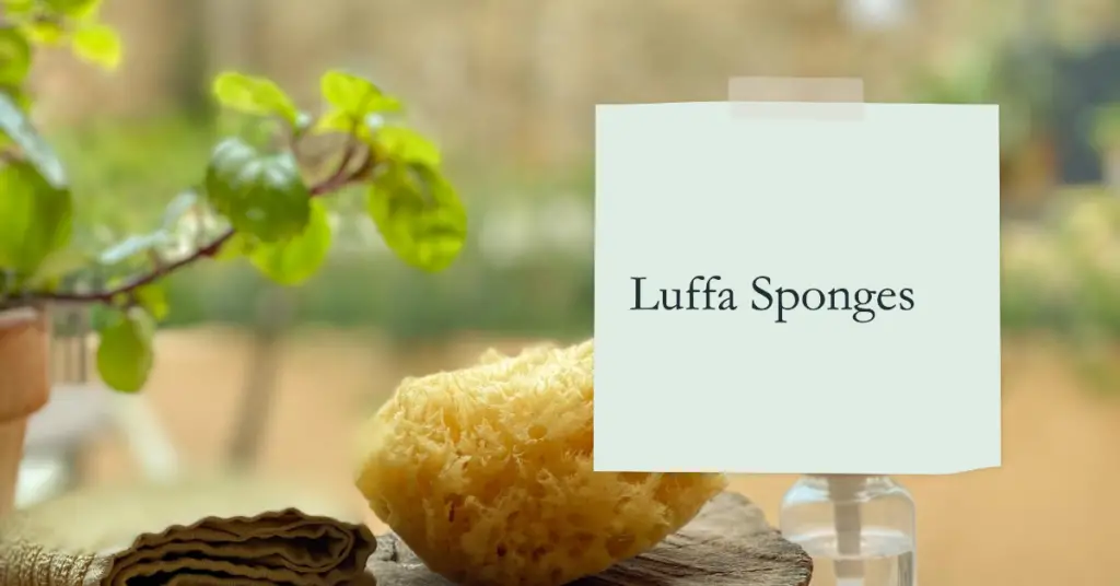 Luffa Sponge