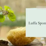 What is a Luffa Sponge