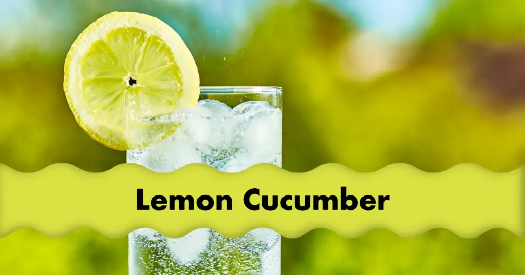 Lemon cucumbers 