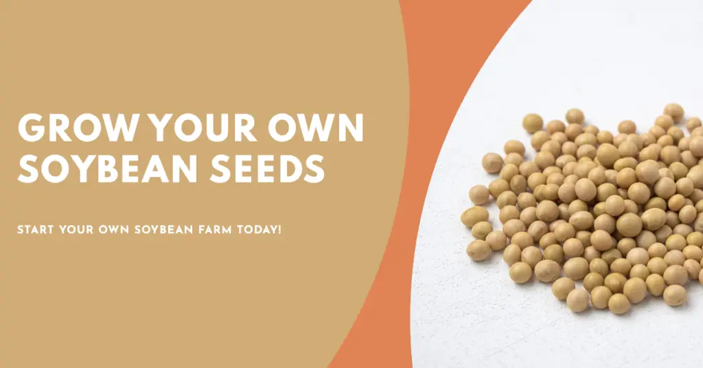 soybean seeds for deer