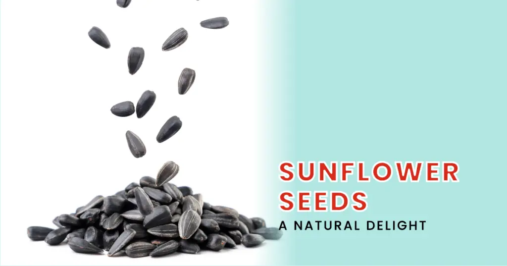 Sunflower seeds are a popular snack food that is enjoyed by people of all ages