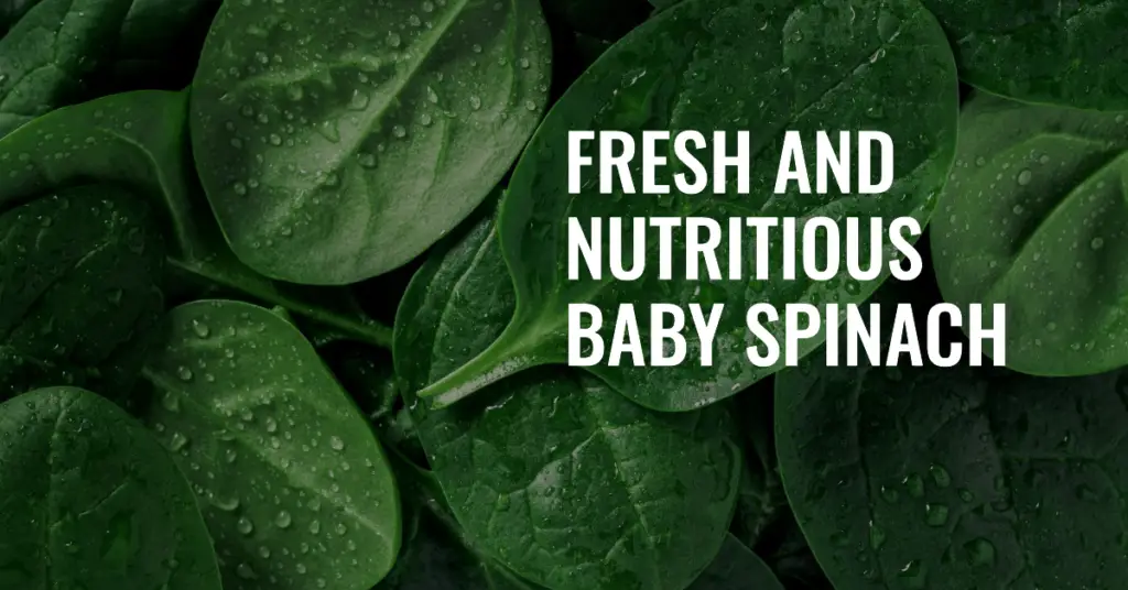 Baby spinach is a leafy green vegetable that is packed with nutrients. It is a good source of vitamins A, C, and K, as well as fiber and antioxidants