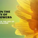 The common sunflower (Helianthus annuus)