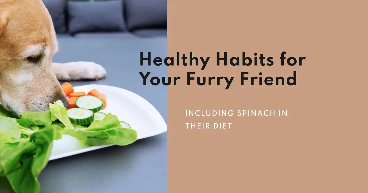 Spinach is a leafy green vegetable that is packed with nutrients, including vitamins A, C, and K. It is also a good source of fiber and antioxidants. But can dogs eat spinach?