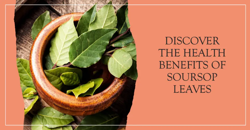 15 Health benefits of Soursop Leaves