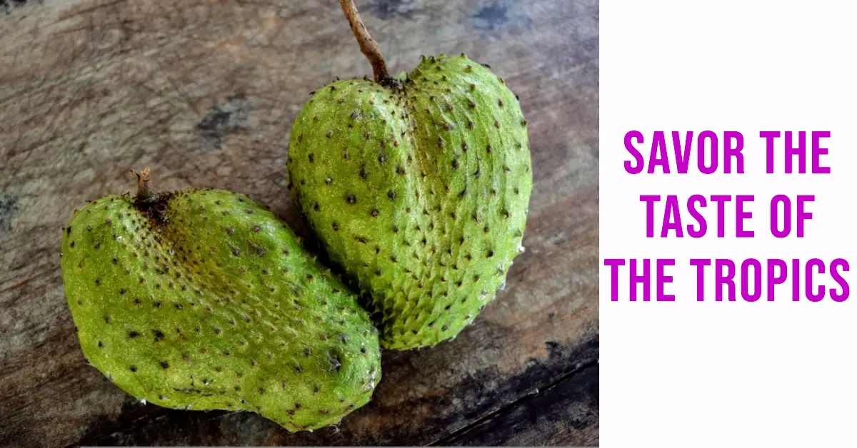 What Does Soursop Taste Like?