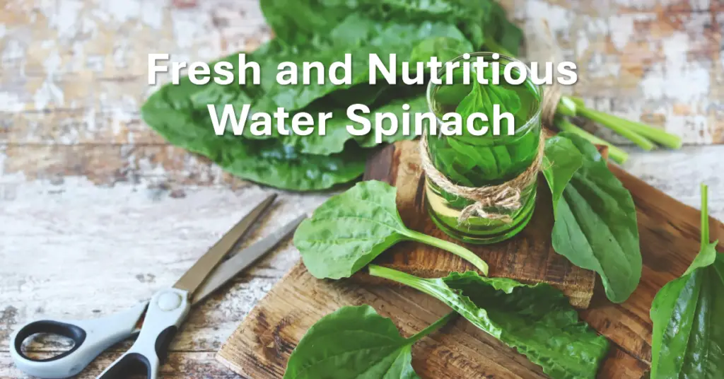 Water Spinach Nutrition