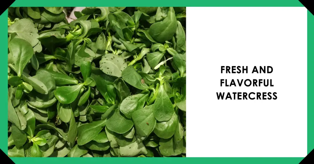 Watercress is a leafy green vegetable that is packed with nutrients, including vitamins A, C, and K, as well as minerals like calcium and iron. It is also a good source of antioxidants.